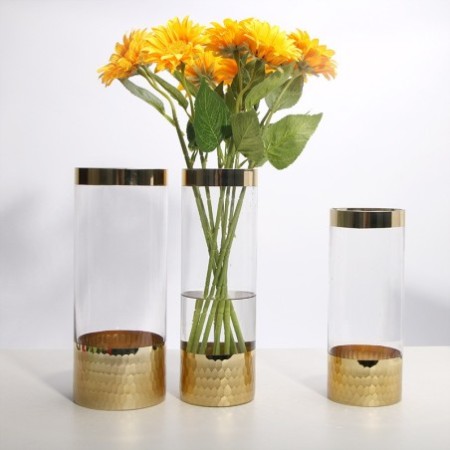 Modern Transparent Glass Hydroponic Flower Vase - Decorative Home & Office Table Vase