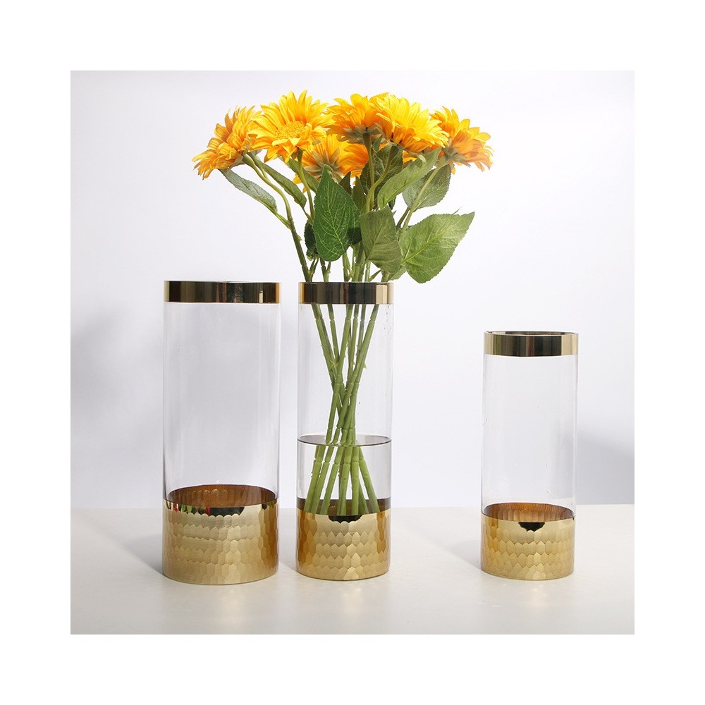 Modern Transparent Glass Hydroponic Flower Vase - Decorative Home & Office Table Vase