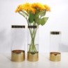 Modern Transparent Glass Hydroponic Flower Vase - Decorative Home & Office Table Vase