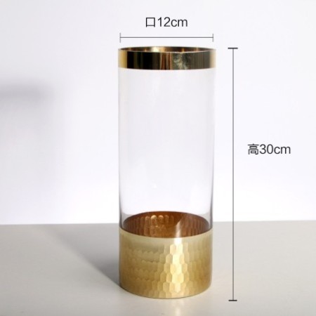 Modern Transparent Glass Hydroponic Flower Vase - Decorative Home & Office Table Vase